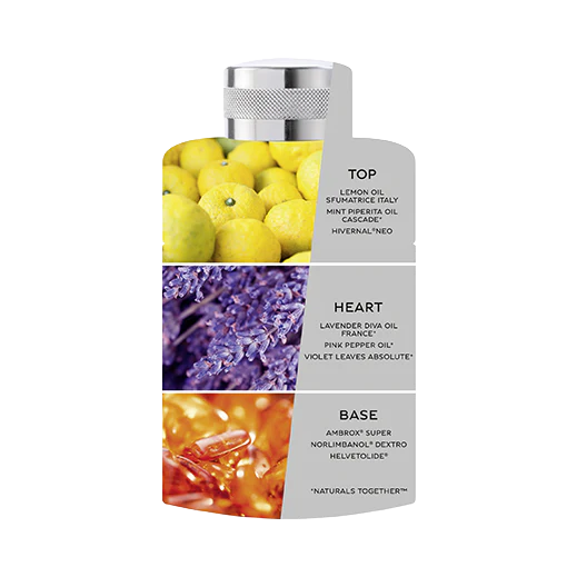 Bentley for Men Silverlake Eau de Parfum - Image 5