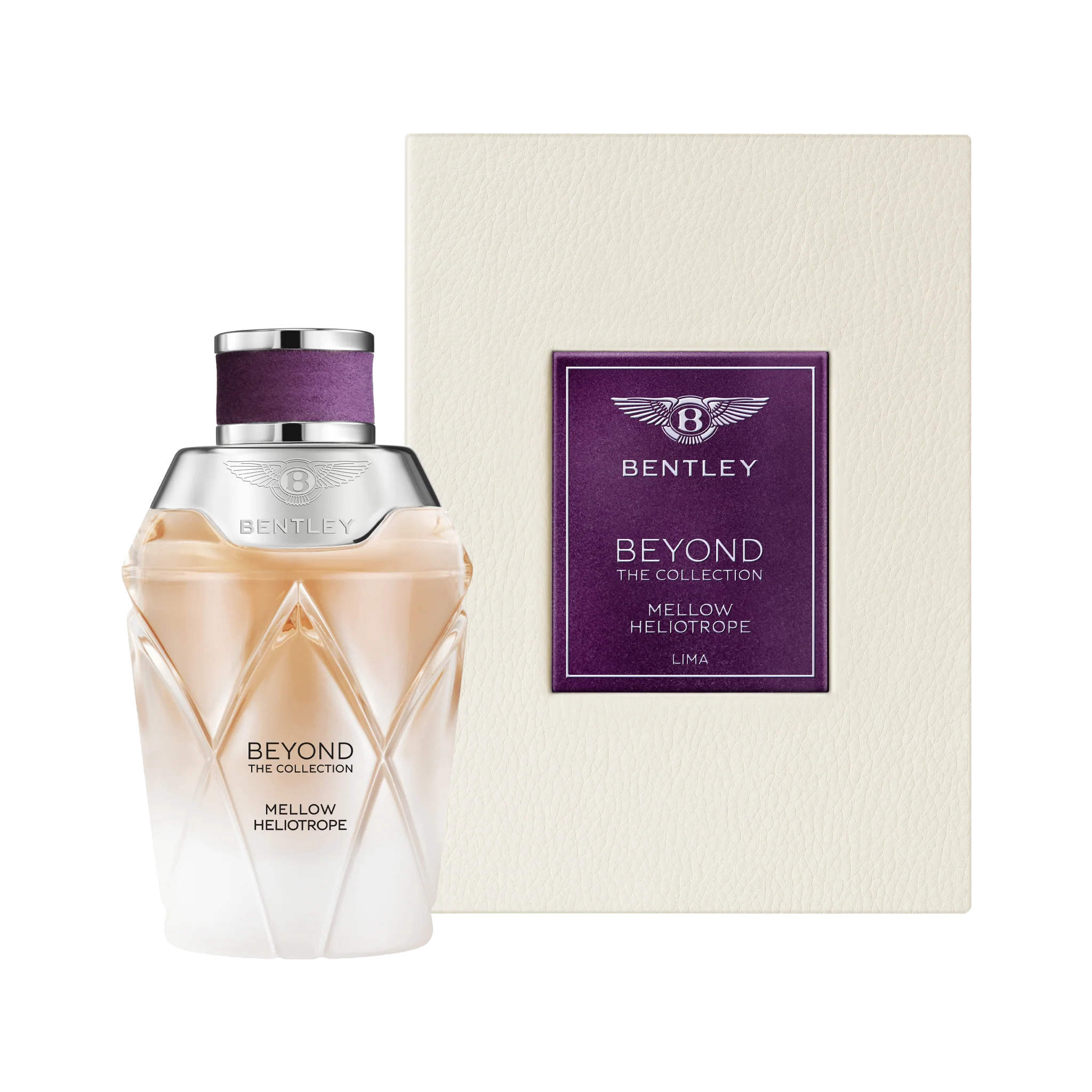 Beyond The Collection - Mellow Heliotrope - Image 3